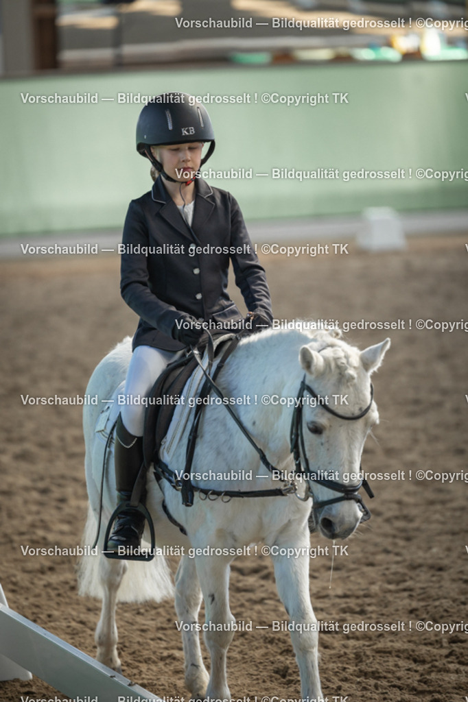 _D5A8693 | Emotionale Pferde- & People-Fotografie rund um Heidelberg, Leimen & Umgebung. Natürliche Fotos von Pferd, Mensch & Familie. Jetzt Termin sichern!
