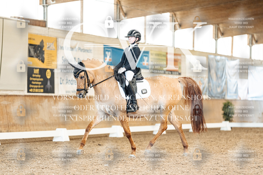 CK909697 | Turnierfotografie Pferdefotografie Trier Rheinland-Pfalz Pferdesport Reitsport Tierfotografie Sportfotografie Pferdevideo Pferdevideografie Equestrianvideography equestrianphotography  - Realisiert mit Pictrs.com