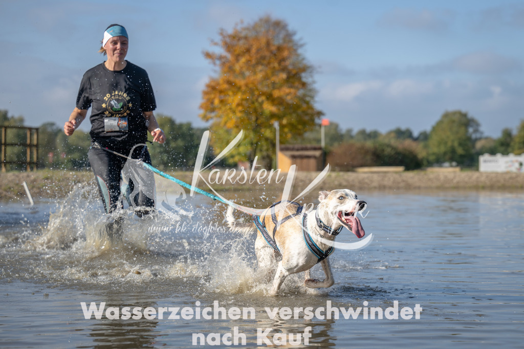 1122_ZZ92576 | kk-dogfotos