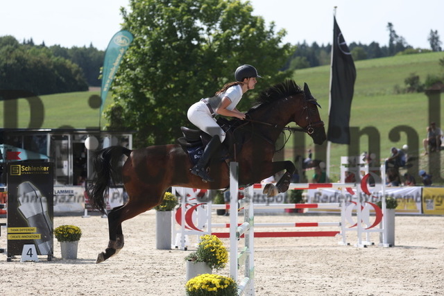 Villingendorf_2023_Prfg.Nr.11_Springprüfung_Kl.S_m.Siegerrunde_Katharina Dietrich_Carthusia 4 (3) | Alle Fotos der Reiterjournal Fotografin Doris Matthaes im Reiterjournal Online-Fotoshop. - Realisiert mit Pictrs.com