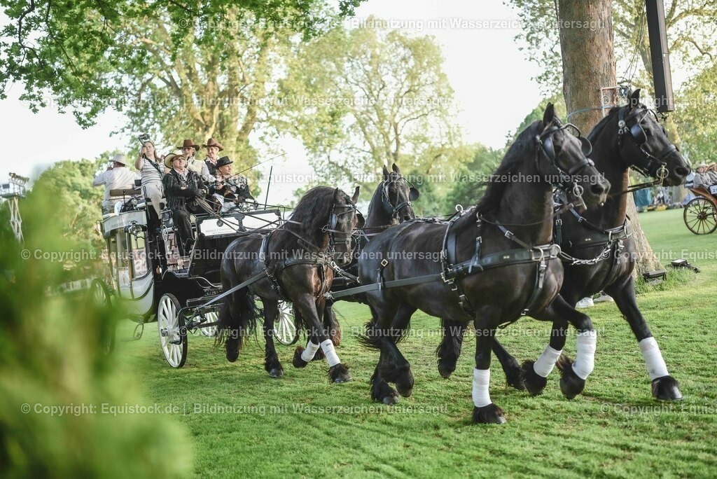 20230526_Pferdenacht_0144 | equistock
