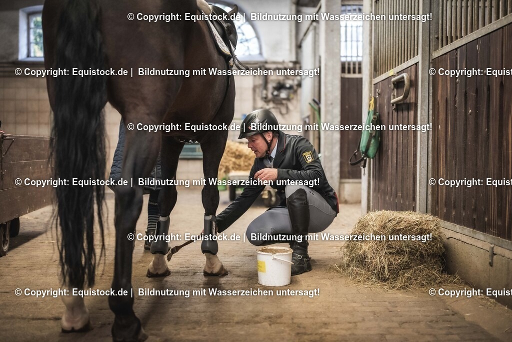 20241013_Jagd-Marbach_0025 | Foto: Thomas Hartig