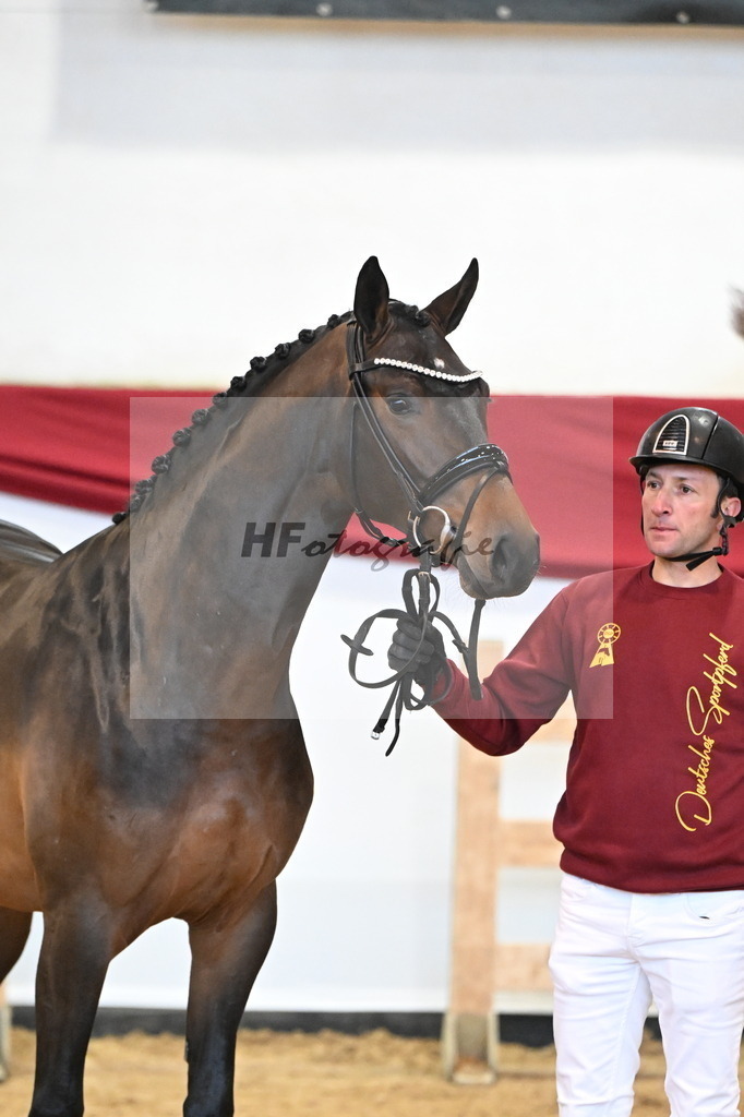 Kat-Nr. 3 Balou du Rouet x Comme il faut_Sirrin_47241300 | hf-fotografie - Realizzato con Pictrs.com