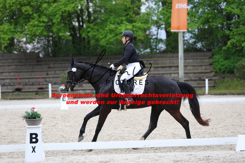 A40A8811 | lmwpictures - Realisiert mit Pictrs.com