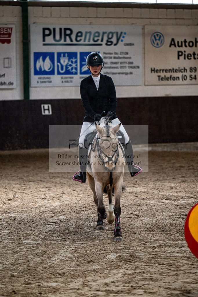 20240308-DOS_3925 | Entdecke hochwertige Reitturnierfotos von Foto Oger. Professionell, emotional und authentisch – jetzt Lieblingsmomente im Shop bestellen.Deutschlandweite Turnierfotografie. - Realisiert mit Pictrs.com