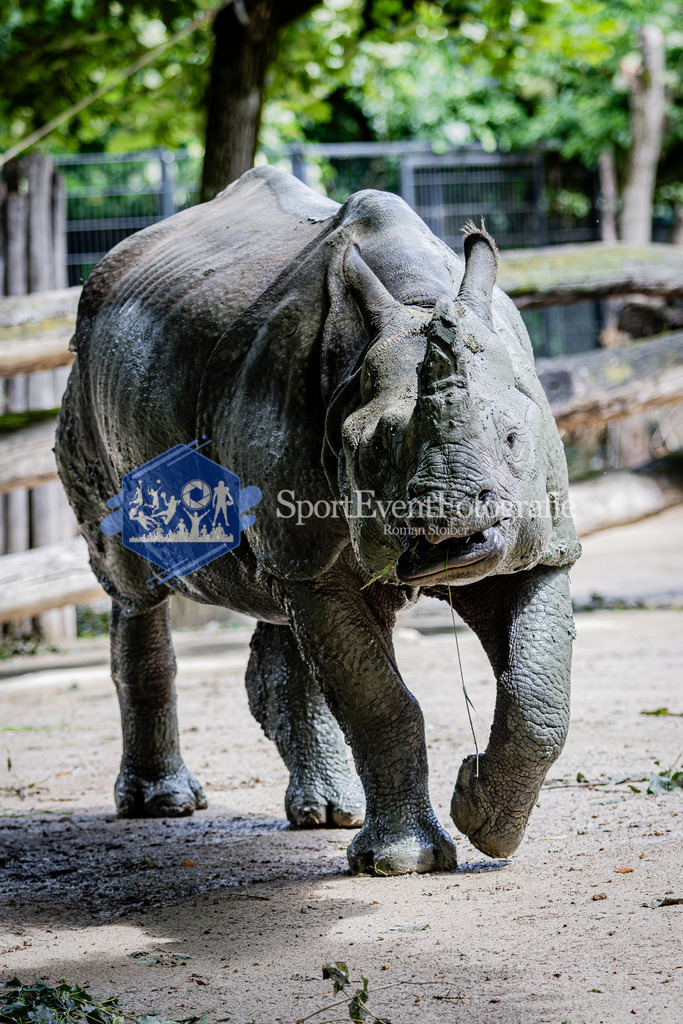 IMG_6055 | SportEventFotografie - Roman Stoiber