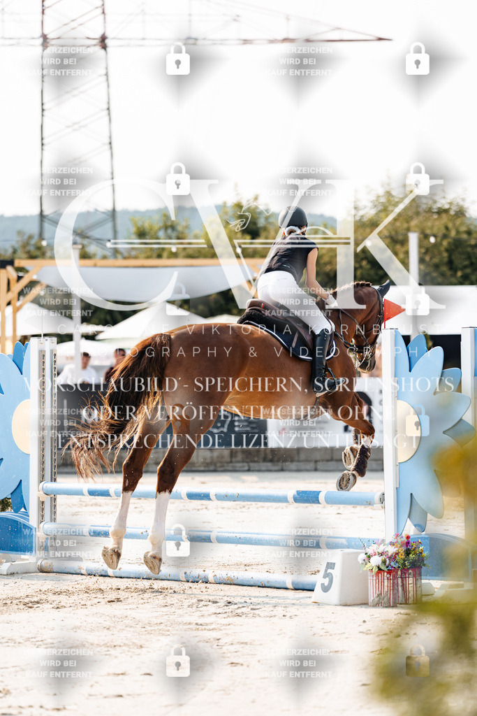 CK902765 | Turnierfotografie Pferdefotografie Trier Rheinland-Pfalz Pferdesport Reitsport Tierfotografie Sportfotografie Pferdevideo Pferdevideografie Equestrianvideography equestrianphotography  - Realisiert mit Pictrs.com