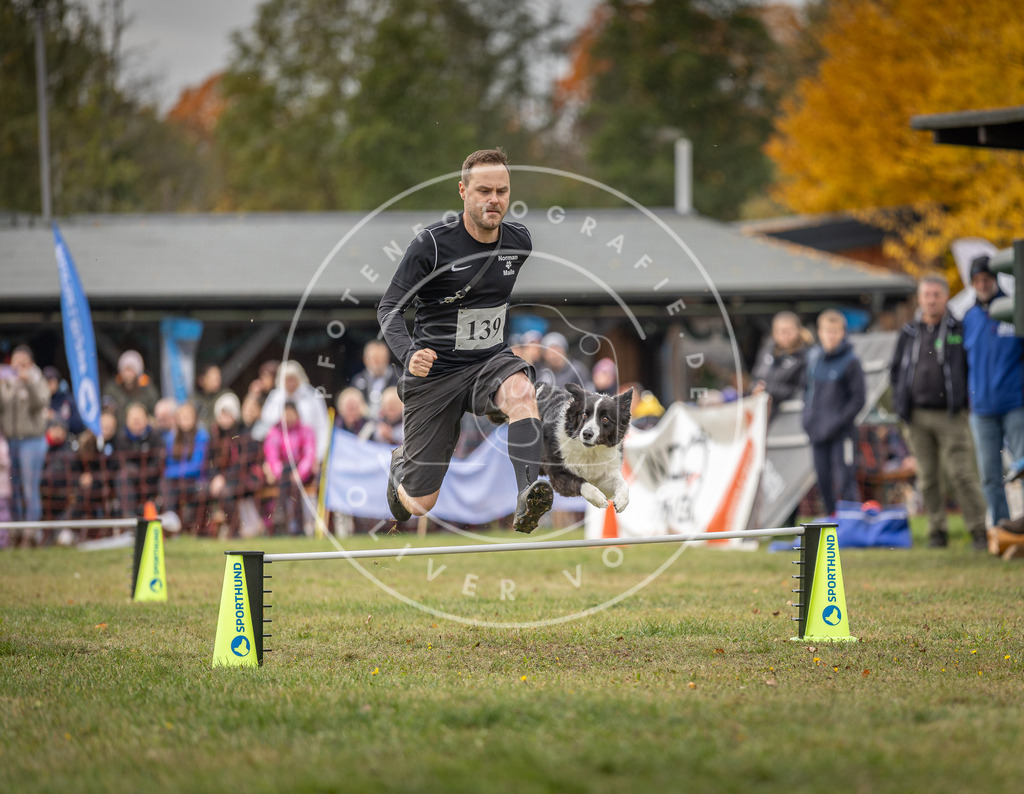 Pfotenfotografie_DV3A7935 | Hundefotografie, Tierfotograf, Pfotenfotografie, Fotoshooting Hund, Hunde Portrait, Hundesport, Hundeportraits, Heideshooting, Hunde, Sportfotograf, Hundefotograf, Turnierhundsport, THS,  - Realisiert mit Pictrs.com