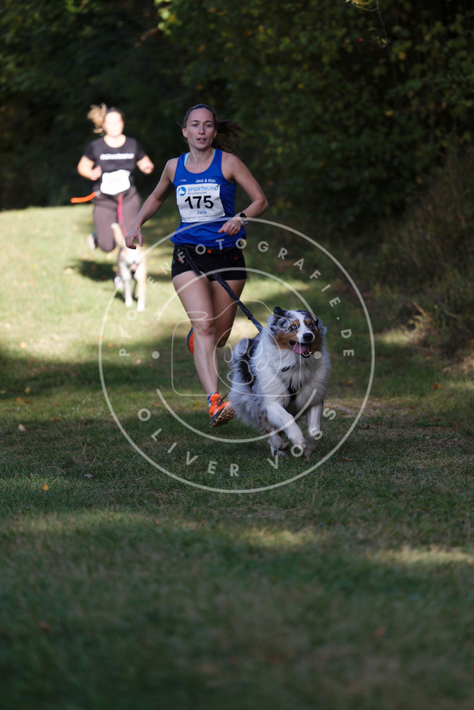 0L8A5581 | Hundefotografie, Tierfotograf, Pfotenfotografie, Fotoshooting Hund, Hunde Portrait, Hundesport, Hundeportraits, Heideshooting, Hunde, Sportfotograf, Hundefotograf, Turnierhundsport, THS,  - Realisiert mit Pictrs.com