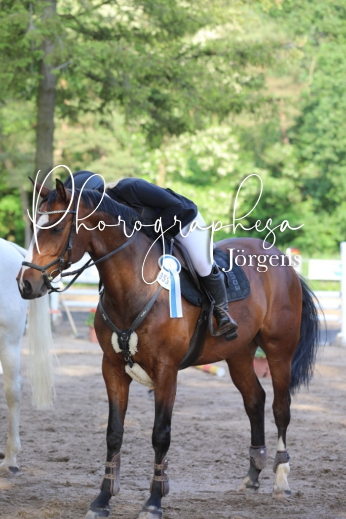 IMG_9153 | photographesa-joergens - Realisiert mit Pictrs.com