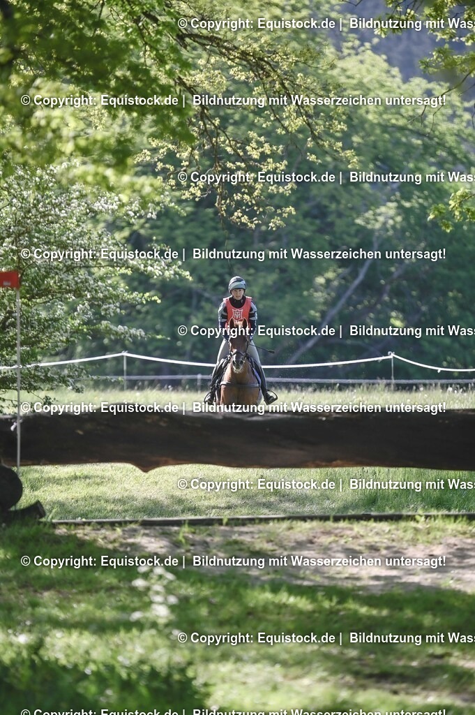 20250517_CCI2_Gelände_0676 | Foto: Thomas Hartig
