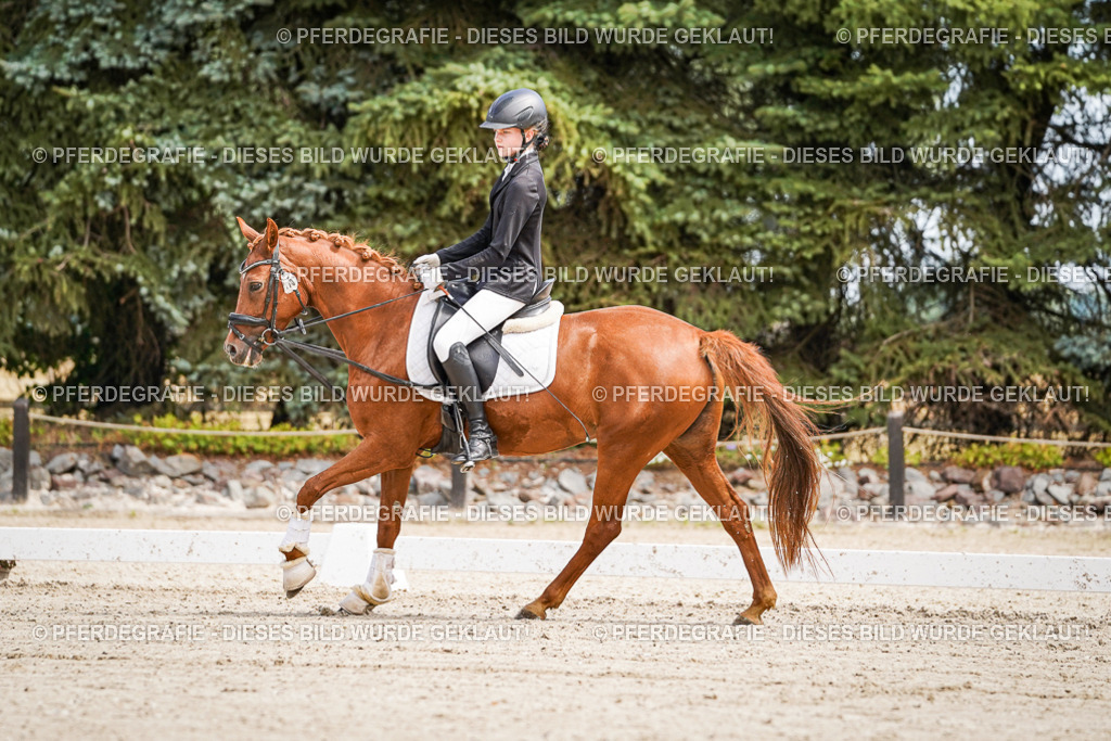 DSC02556 | Pferdegrafie