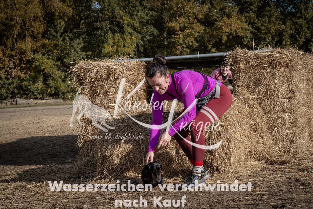 1155_ZZ92876 | kk-dogfotos