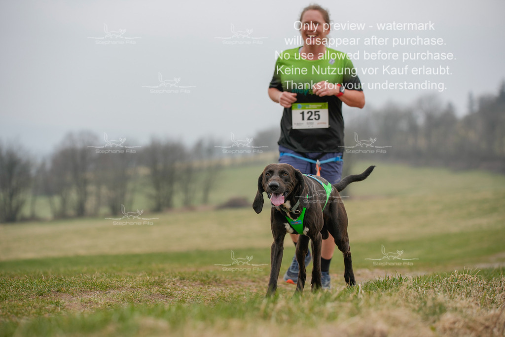 Canixlong-224 | stephaniefillaphotographie - Realisiert mit Pictrs.com