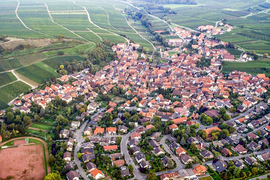 Luftbild: Winzerdorf von Norden in Ilbesheim bei Landau im Bundesland Rheinland-Pfalz in Deutschland. Foto: IMG_4090.jpg vom 23.09.2006 durch Werner Riehm/FLY-FOTO.de