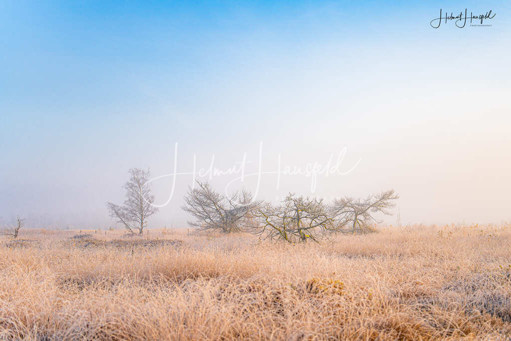 DSC04185 | Landschaftsfotografie, Naturfotografie - Realisiert mit Pictrs.com