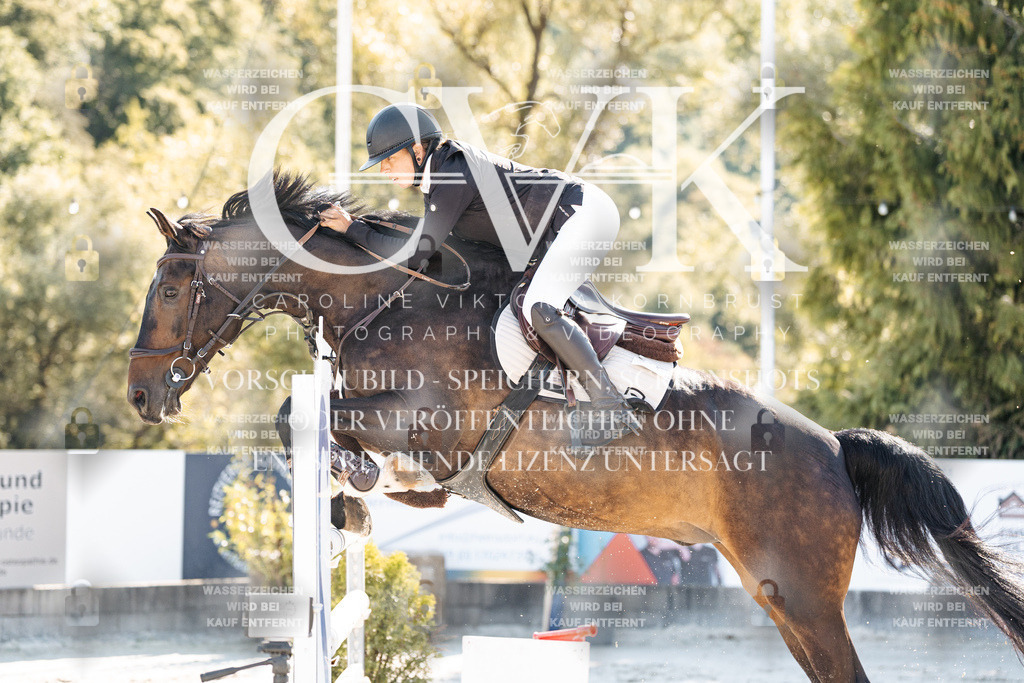 CK904524 | Turnierfotografie Pferdefotografie Trier Rheinland-Pfalz Pferdesport Reitsport Tierfotografie Sportfotografie Pferdevideo Pferdevideografie Equestrianvideography equestrianphotography  - Realisiert mit Pictrs.com
