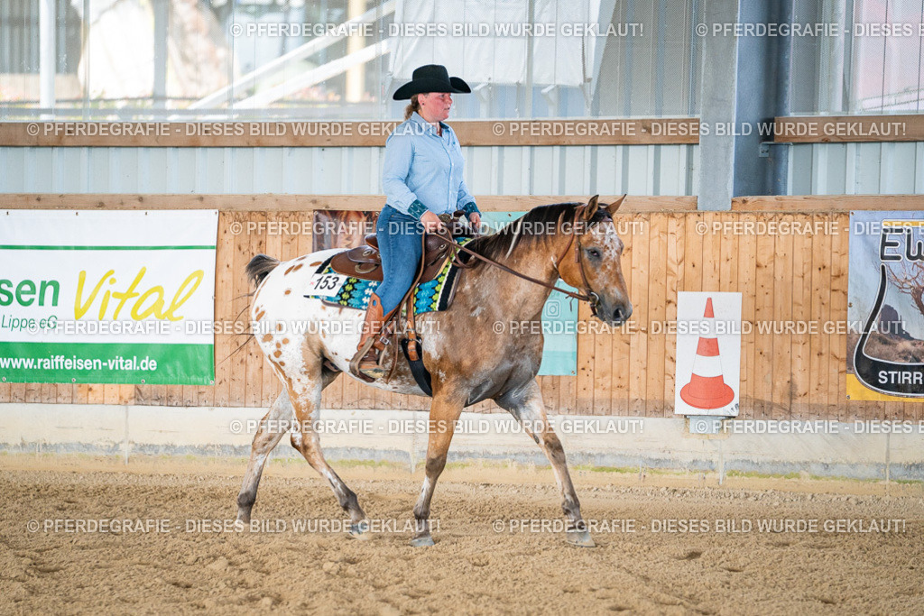 DSC02078 | Pferdegrafie