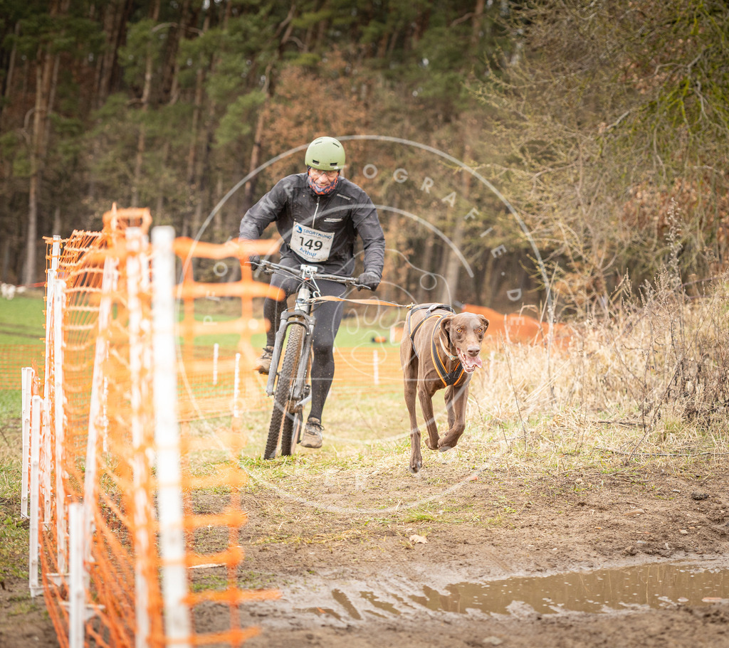 DV3A1188 | Hundefotografie, Tierfotograf, Pfotenfotografie, Fotoshooting Hund, Hunde Portrait, Hundesport, Hundeportraits, Heideshooting, Hunde, Sportfotograf, Hundefotograf, Turnierhundsport, THS,  - Realisiert mit Pictrs.com