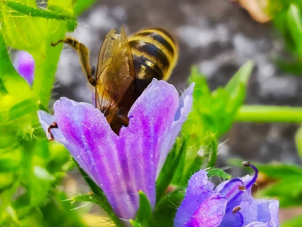 PSX_20220913_230919 | mtkfoto_ - Realisiert mit Pictrs.com