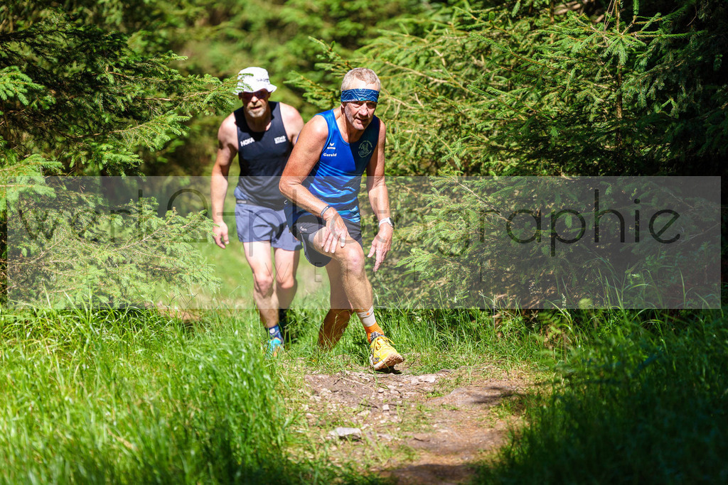 Schneekopflauf 2025 | Schmiedefeld am 5. Juli 2025