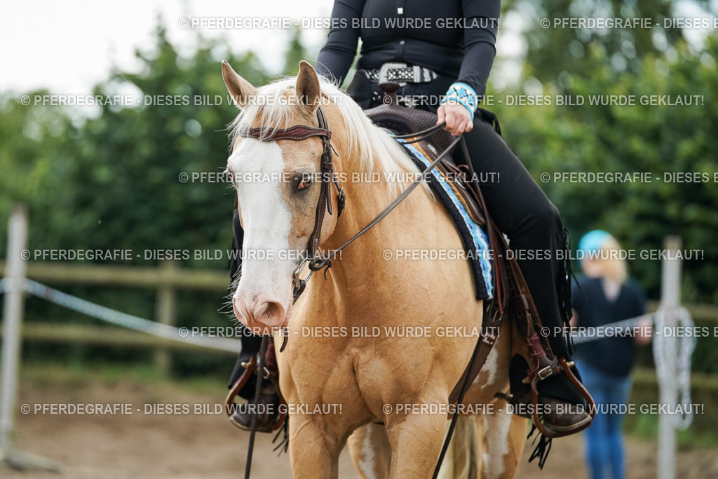 DSC03882 | Pferdegrafie