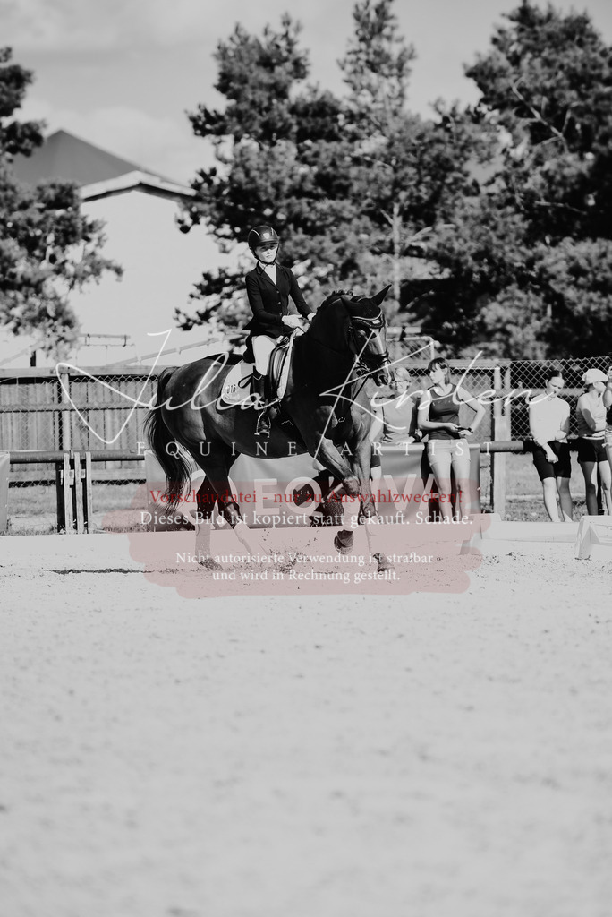 DSC_0131 | Pferde- und Turnierfotografie in Westsachsen. Pferdeportraits, Auftragszeichnungen und intuitive Kunst.