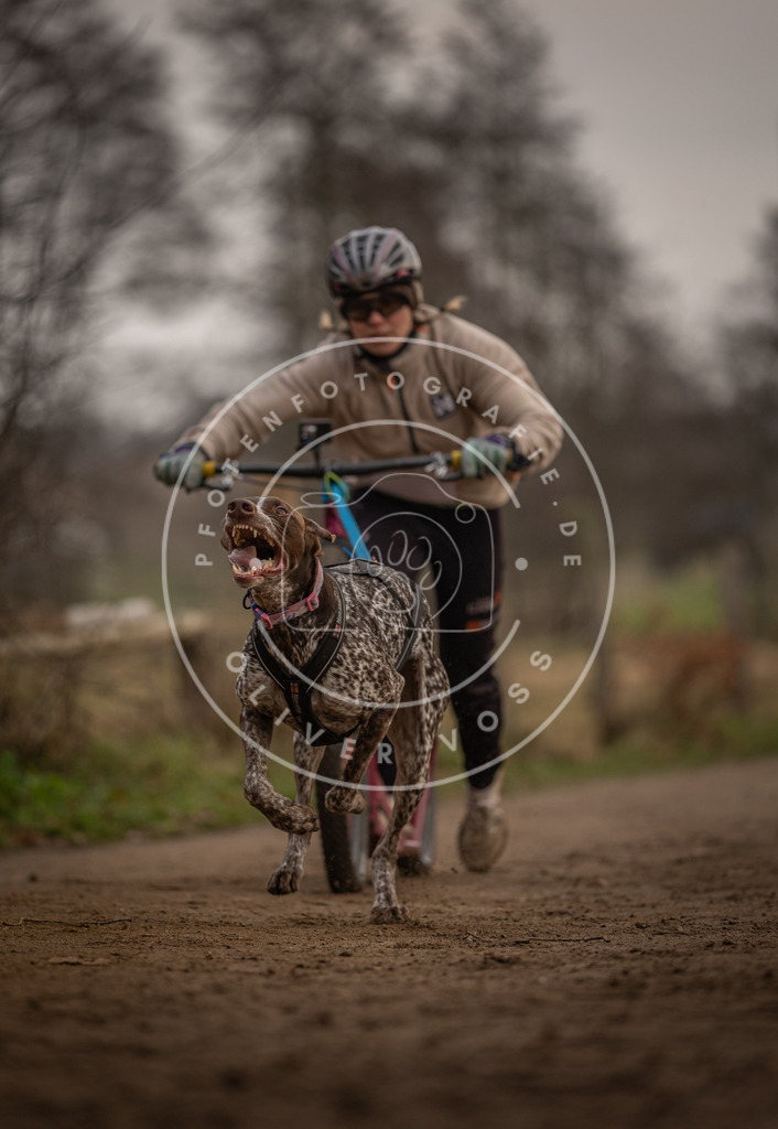 Pfotenfotografie_DV3A3967 | Hundefotografie, Tierfotograf, Pfotenfotografie, Fotoshooting Hund, Hunde Portrait, Hundesport, Hundeportraits, Heideshooting, Hunde, Sportfotograf, Hundefotograf, Turnierhundsport, THS,  - Realisiert mit Pictrs.com