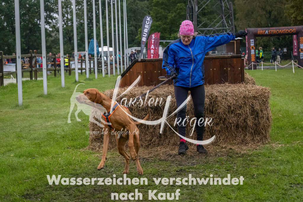 1159--13 | kk-dogfotos
