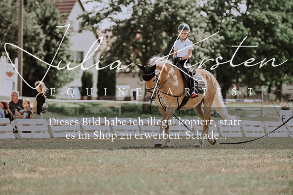 DSC_7775 | Pferde- und Turnierfotografie in Westsachsen. Pferdeportraits, Auftragszeichnungen und intuitive Kunst.