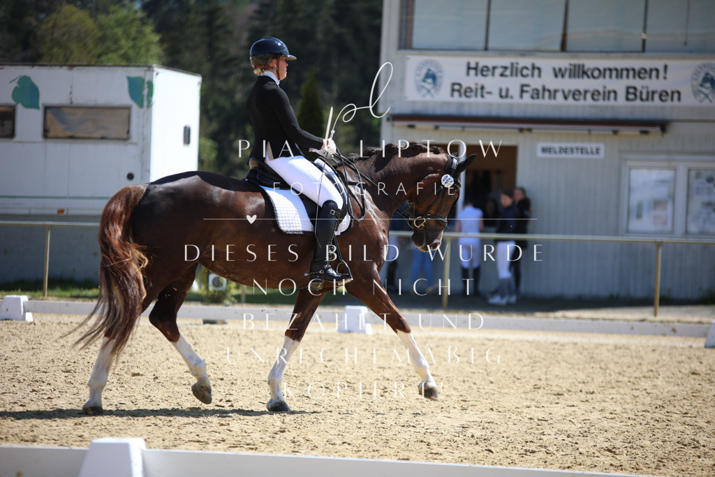 IMGT2559 | pl-fotografie