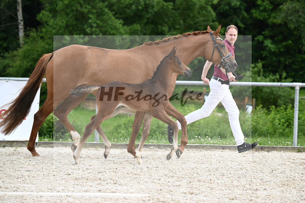 Tie Break x Vivino_HF_Niethammer_20241193 | hf-fotografie - Realisiert mit Pictrs.com