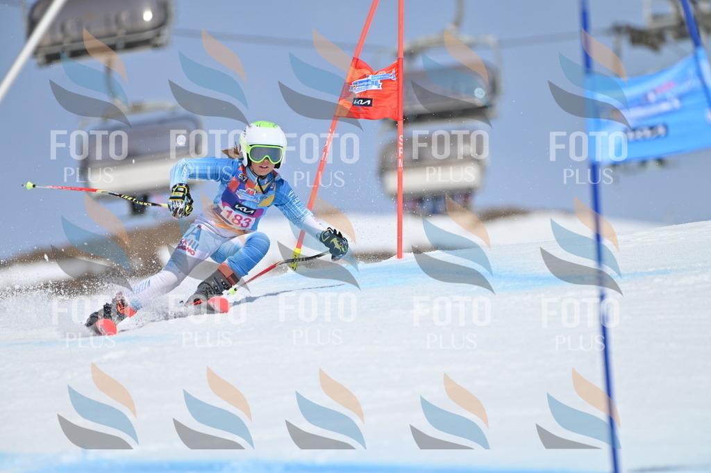 BGV_0666 | holidayphoto