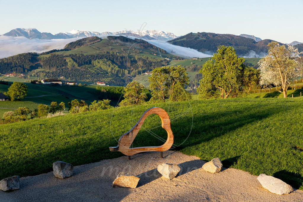 Birnbaumblüte Voralpenblick | Ihre Fotografin im Lungau, ihre Fotografin im Mostviertel, Wandbilder Onlineshop, Imagefotos für Ihr Unternehmen,  - Realisiert mit Pictrs.com