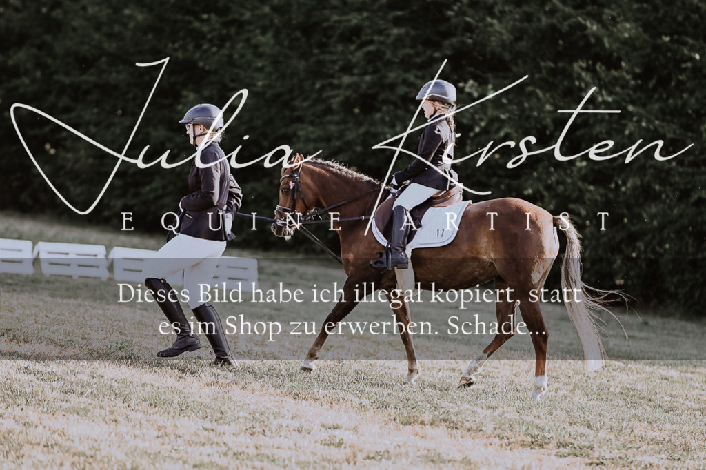 DSC_0107 | Pferde- und Turnierfotografie in Westsachsen. Pferdeportraits, Auftragszeichnungen und intuitive Kunst.