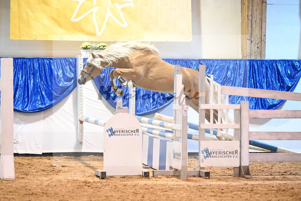 Kat-Nr. 36 nn v. Ansgar_Port_60220595 | hf-fotografie - Realisiert mit Pictrs.com