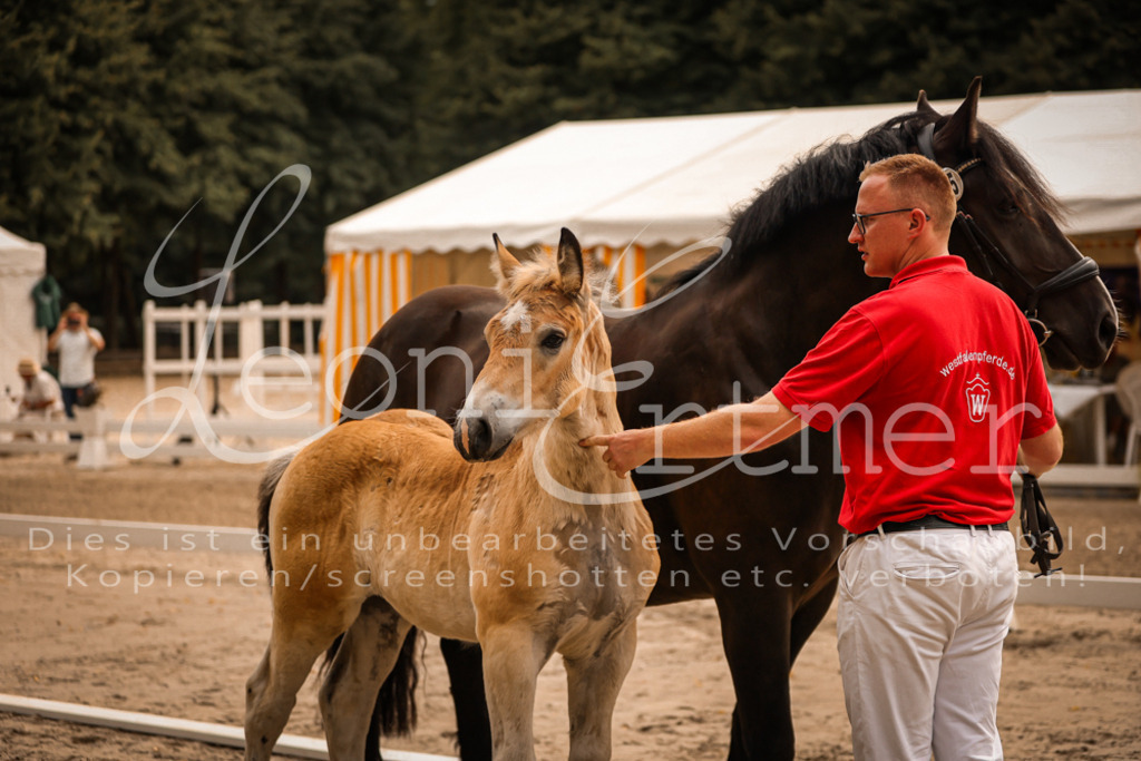 SaSF00026 | Leoni Ertmer Photography - Realisiert mit Pictrs.com