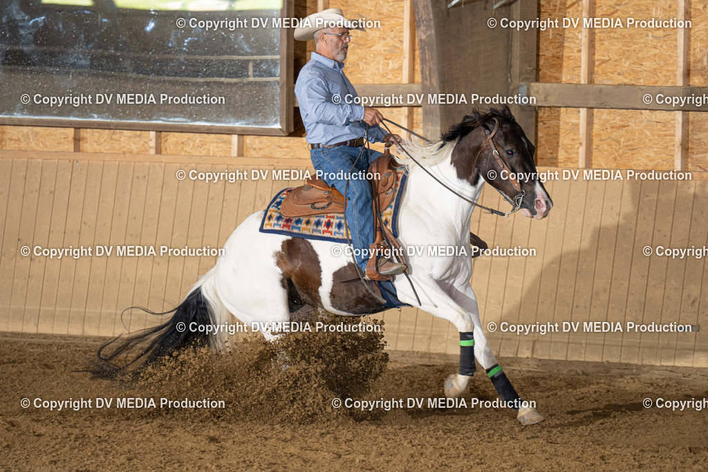 DSC00046 | dv-media-shop - Realisiert mit Pictrs.com