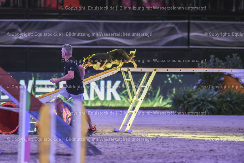 20231115_Dog-Agility_0156_TOMsPiC | Foto: Thomas Hartig