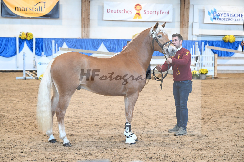 Kat-Nr. 29 nn v. Nio_Carreno-Erdmann_48250636 | hf-fotografie - Realisiert mit Pictrs.com