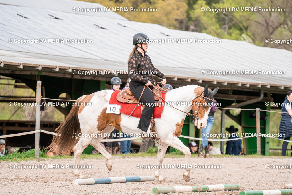 BAL02602 | dv-media-shop - Realisiert mit Pictrs.com