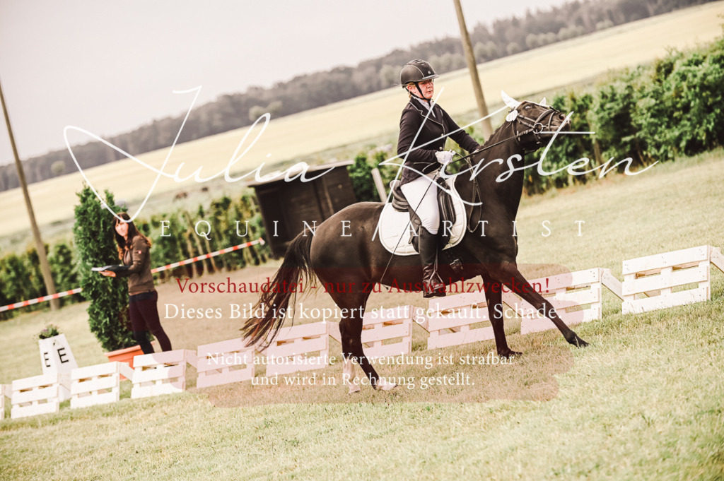 DSC_4863 | Pferde- und Turnierfotografie in Westsachsen. Pferdeportraits, Auftragszeichnungen und intuitive Kunst.