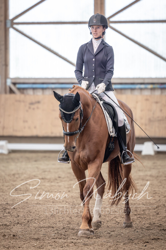 20251011-_3LI0127 | Tierfotografie Pferde, Hunde, Katzen, Haustiere.
Turnierfotografie Reitturniere, Reiten, Springreiten, Dressur in Hanau, dem Main-Kinzig-Kreis und dem Rhein-Main- Gebiet um Frankfurt