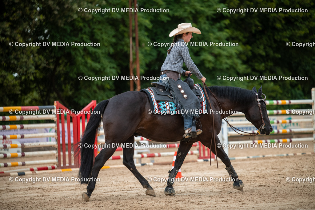 ZS2_8686 | dv-media-shop - Realisiert mit Pictrs.com