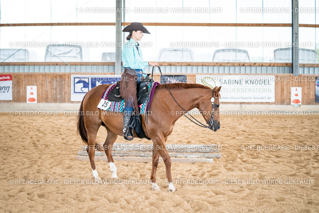 DSC03230 | Pferdegrafie