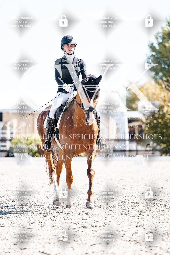 CK909129 | Turnierfotografie Pferdefotografie Trier Rheinland-Pfalz Pferdesport Reitsport Tierfotografie Sportfotografie Pferdevideo Pferdevideografie Equestrianvideography equestrianphotography  - Realisiert mit Pictrs.com