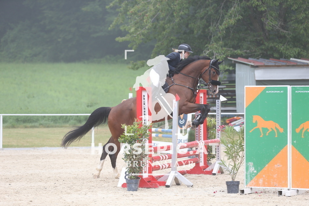 DL2Q9049 | Willkommen bei Brunnmayr - Design & Fotografie – Ihrem Spezialisten für Reitturniere und Pferdeveranstaltungen in Oberösterreich, Salzburg und Bayern! Seit über 17 Jahren sind wir leidenschaftlich dabei.