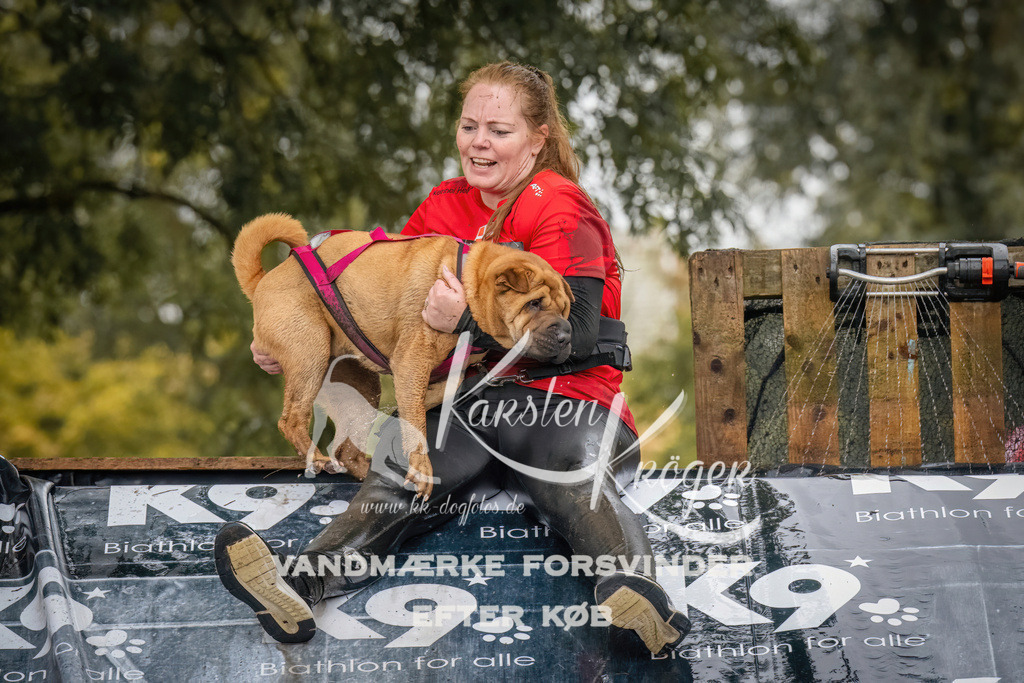 1206_ZZ94315 | kk-dogfotos