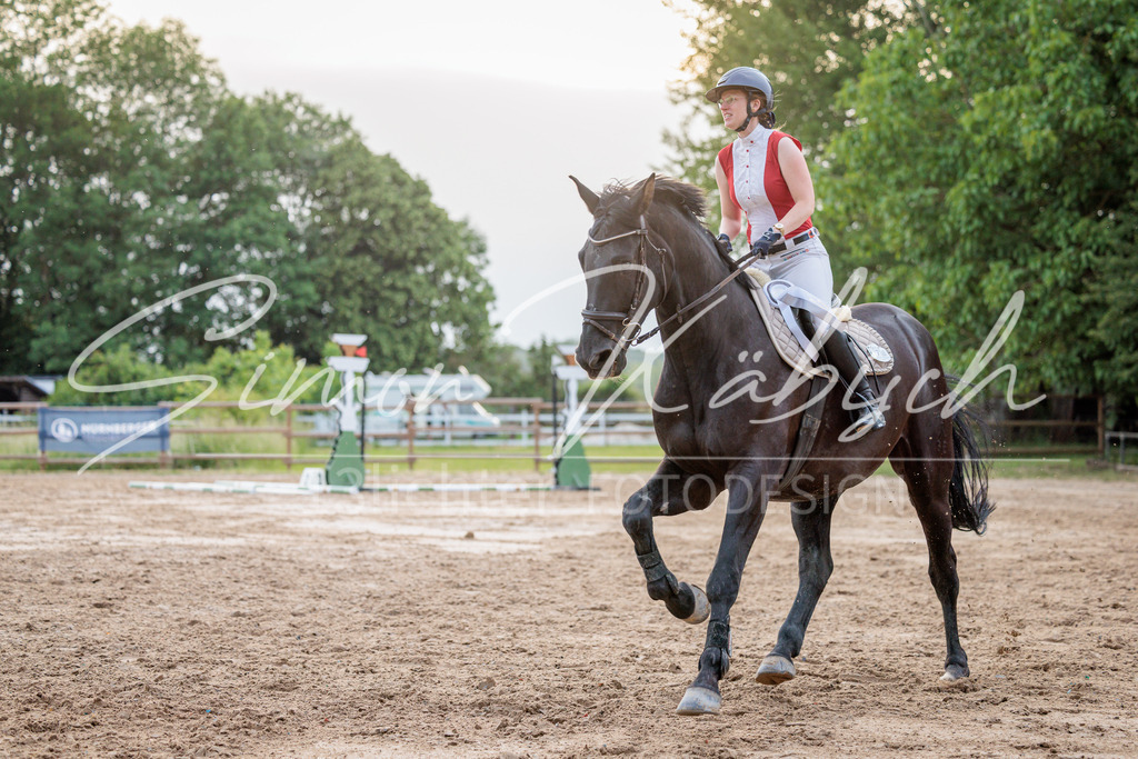 20260529-_3LI2133 | Tierfotografie Pferde, Hunde, Katzen, Haustiere.
Turnierfotografie Reitturniere, Reiten, Springreiten, Dressur in Hanau, dem Main-Kinzig-Kreis und dem Rhein-Main- Gebiet um Frankfurt