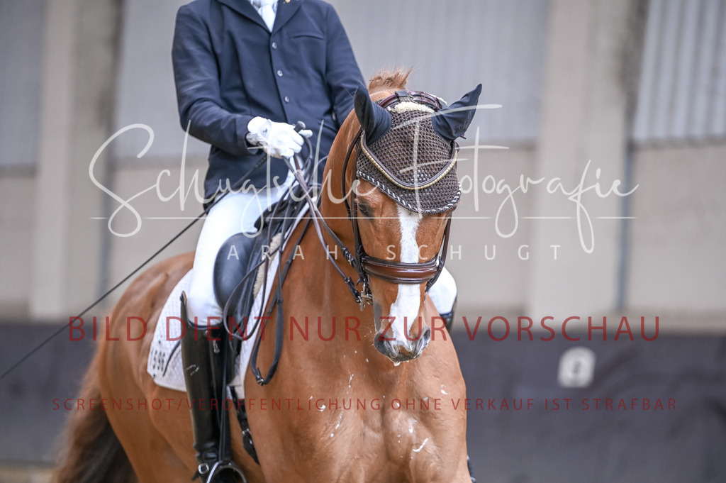 Schugtsche-Aluta25-57.Dressurprf.M1Kand-16 | Schugtsche Fotografie - Realizzato con Pictrs.com